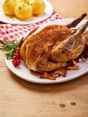 Grilled crispy pheasant with red currants