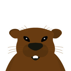Groundhog on a white background.