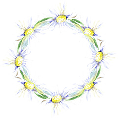 Daisy floral botanical flower. Watercolor background illustration set. Frame border ornament square.