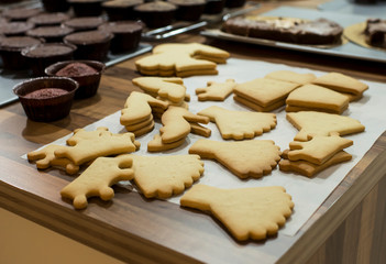 fabricar galletas artesanas con masa casera de diferentes dibujos