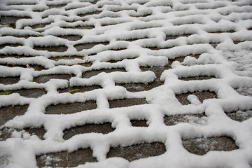 pathway bricks in a park covered with snow between the bricks