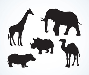 African animals. Vector drawing