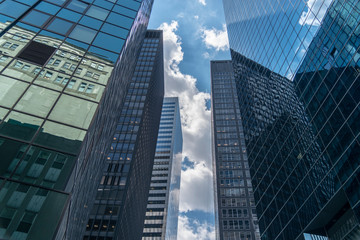 Fototapeta na wymiar Buildings in Lower Manhattan, New York