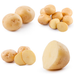 Collection of potato isolated on white background