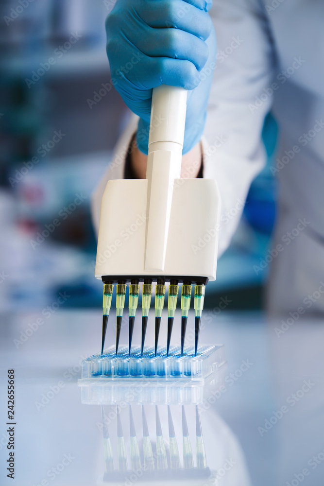 Wall mural Scientist working with microplate in the laboratory / Researcher pipetting samples in plate in the lab