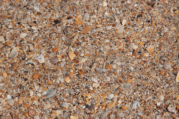 beach, broken