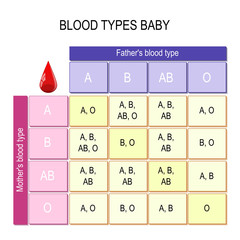 Blood Types baby. Chart.