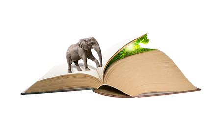 Elephant walking on the book pages to hidden nature. Creative education ecology concept. Magic...