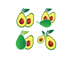 avocado illustration vector template