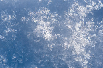新雪の結晶