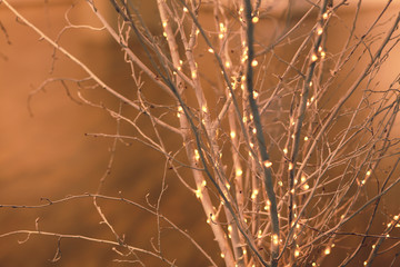 decorated christmas tree