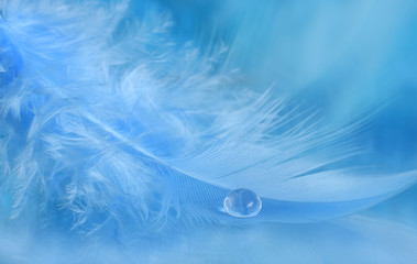 Wassertropfen Makro auf blaue Feder