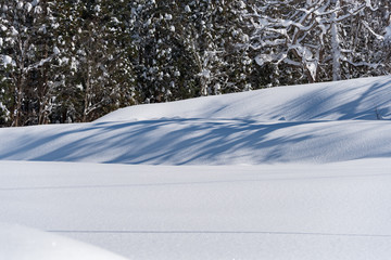 段々畑の雪