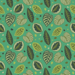 Seamless graphic illustration pattern with green tropical Calathea prayer plantand Maranta leaves on green background