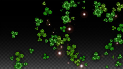 Vector Clover Leaf  Isolated on Transparent Background with Space for Text. St. Patrick's Day Illustration. Ireland's Lucky Shamrock Poster. Invintation for Concert in Pub. Top View. Success Symbols.