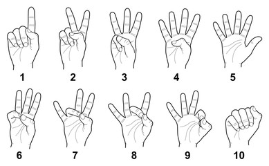 Hand sign language numbers collection - vector line illustration © Hein Nouwens