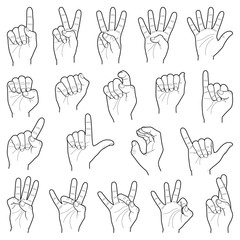 Fototapeta premium Hand collection - vector line illustration