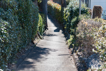 町の小路