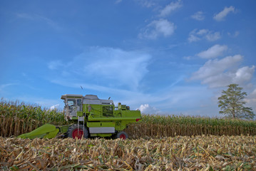 Obraz premium Corn Harvester, Corn Harvester from Thailand