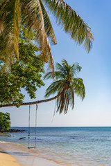 Fototapeta na wymiar Swing on the Beach. Under the Palm Tree. Beautiful Seascape.