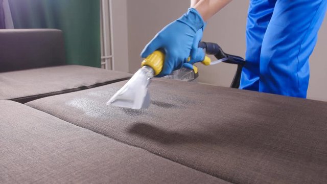 Concept of cleaning in the apartment and office. Dry cleaning worker removing dirt from sofa indoors