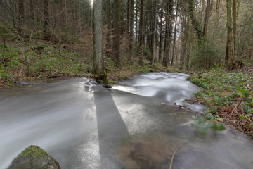 Bach im Wald Langzeitbelichtung