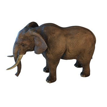 Large African Elephant isolated on white background 3d illustration