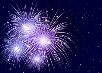 Bright colorful fireworks in the night sky. Holiday, fun. Vector illustration for your design.