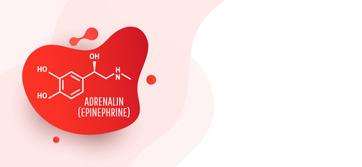 Adrenaline (adrenalin, epinephrine) molecule © Shi 