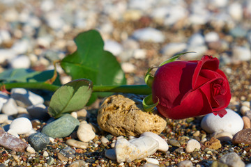 Valentine's day background