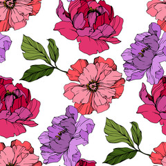 Vector Pink and purple peony flower. Engraved ink art. Seamless background pattern. Fabric wallpaper print texture.