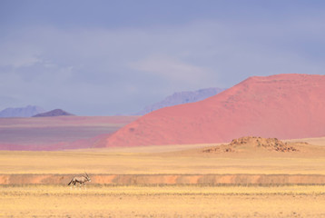 Naklejka na ściany i meble Sossusvlei salt pan with high red sand dunes in Namib desert, Namibia, Africa.