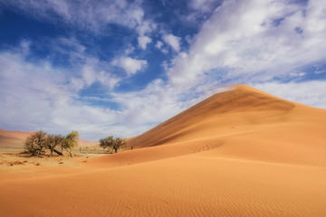 Fototapeta na wymiar Sossusvlei salt pan with high red sand dunes in Namib desert, Namibia, Africa.