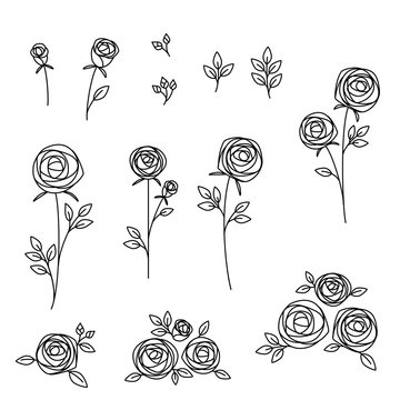 Illustration set of hand drawn roses