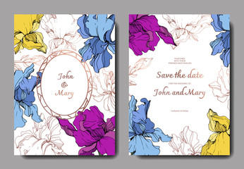 Vector Iris flower. Engraved ink art. Wedding background border. Thank you, rsvp, invitation elegant card graphic set.