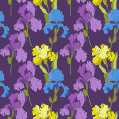 Fototapeta na wymiar Vector Iris floral botanical flower. Seamless background pattern. Fabric wallpaper print texture.