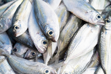 Sea fish, in the walking street market, Phuket Thailand