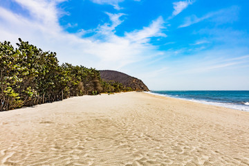 Palomino beach at La Guajira in Colombia South America - obrazy, fototapety, plakaty
