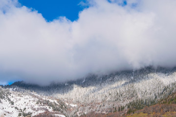 mountain with cloud alps