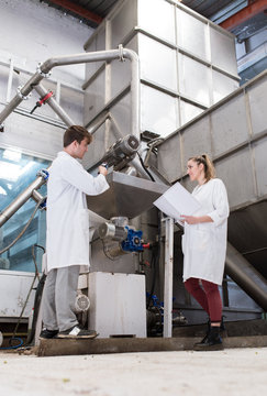 Young man and young woman working in an olive factory