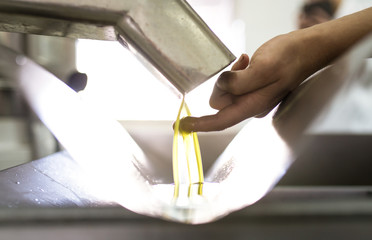 Detail of finger touching spurt of olive