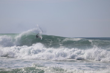 surfeur sur une vague