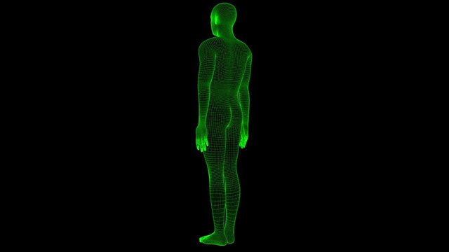 4K Futuristic Wireframe Android AI Man Standing Straight Seamless Loop