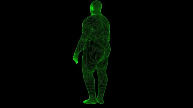 4K Futuristic Wireframe Android AI Obese Man Seamless Loop