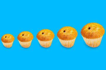 Row of baked muffins without cream in paper form from small to large on blue background
