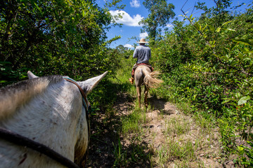 cavalgada peão