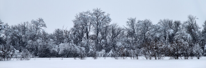 Fototapeta na wymiar Winter scenery, Russia