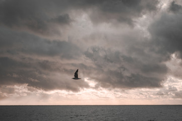 Sunset sea overcast