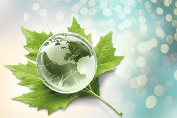 Environment concept, glass globe and green leaf