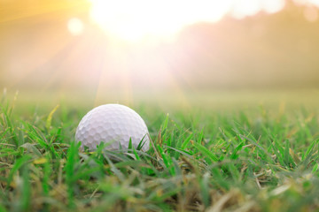 Golf balls on green lawns in beautiful golf courses with sun rise background.Important equipment to play golf.Sports that people around the world play during the holidays for health. 